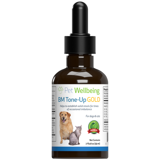 Solid BM Gold (BM Tone-Up) - Supports Healthy Stools and Digestive Function in Cats