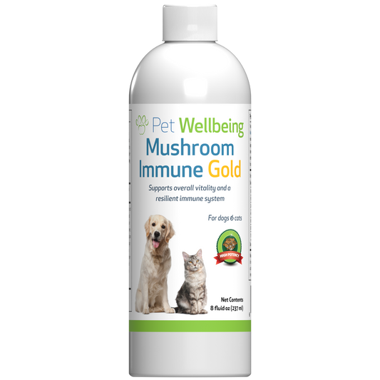 Mushroom Immune Gold - Holistic Complementary Immune and Antioxidant Support for Cats