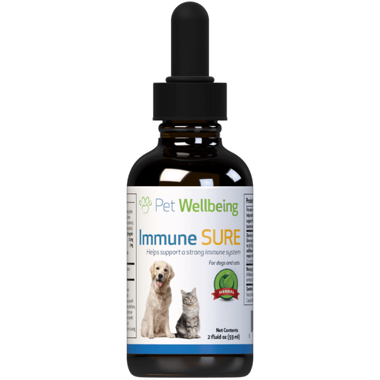 Immune Sure - for Feline Immune System Support