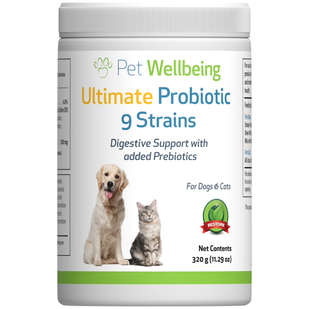 Ultimate Probiotic Strains with Prebiotics Gut Microbiome