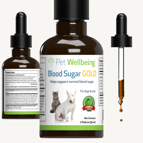 Blood Sugar Gold Blood Sugar Support for Dogs Pet Wellbeing EU