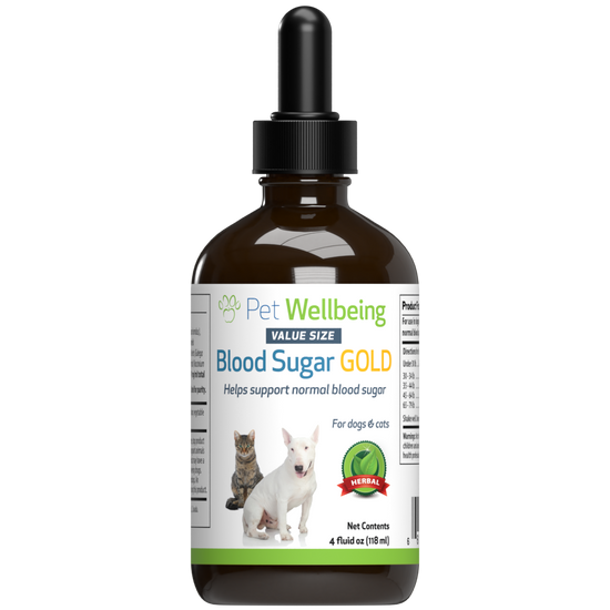 Canine low blood sugar 2025