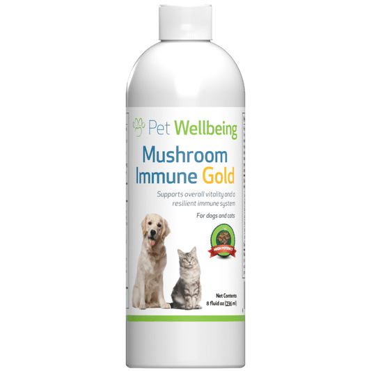 Mushroom Immune Gold - Holistic Cancer Support for Dogs