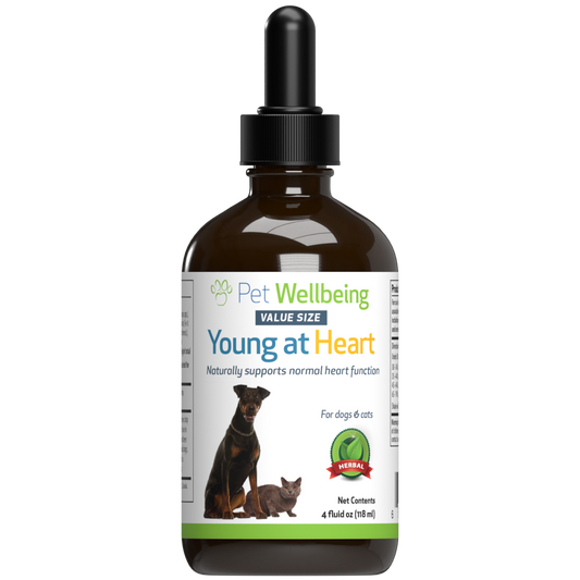 Young at Heart - for Healthy Heart Maintenance in Dogs